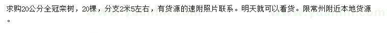 求購20公分全冠欒樹