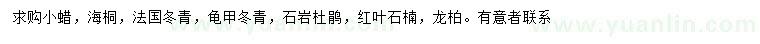 求購(gòu)小蠟、海桐、法國(guó)冬青等