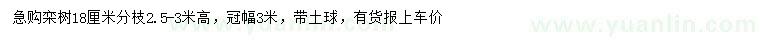 求購18公分欒樹