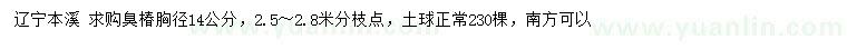 求購胸徑14公分臭椿