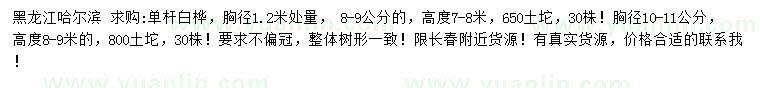 求購胸徑1.2米處量8-9、10-11公分單桿白樺