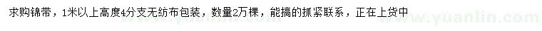 求購1米以上錦帶
