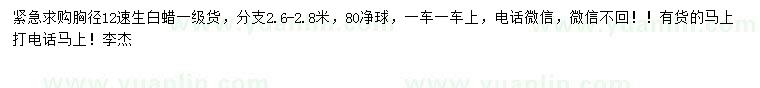 求購胸徑12公分速生白蠟