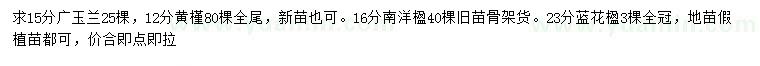 求購(gòu)廣玉蘭、黃槿、南洋楹