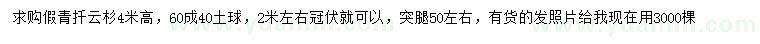 求購(gòu)高4米云杉