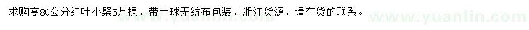 求購高80公分紅葉小檗
