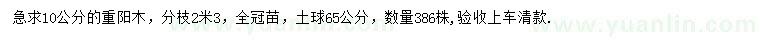 求購(gòu)10公分重陽(yáng)木