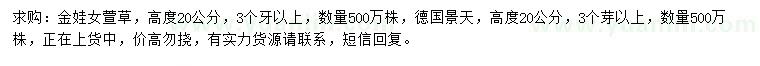 求購高20公分金娃女萱草、德國景天