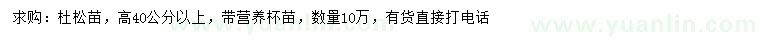 求購(gòu)高40公分以上杜松苗