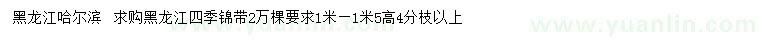 求購1、1.5米四季錦帶
