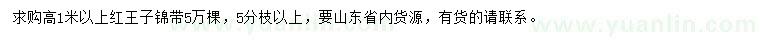 求購高1米以上紅王子錦帶