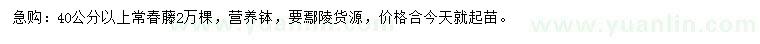 求購40公分以上常春藤