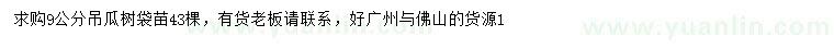 求購(gòu)9公分吊瓜樹