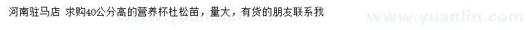 求購高40公分杜松苗