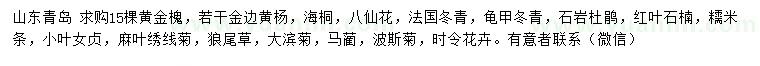 求購黃金槐、金邊黃楊、海桐等