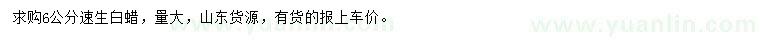 求購6公分速生白蠟