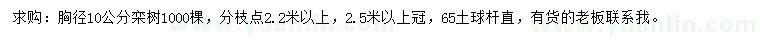 求購胸徑10公分欒樹