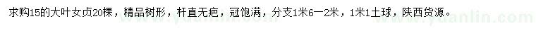 求購15公分大葉女貞