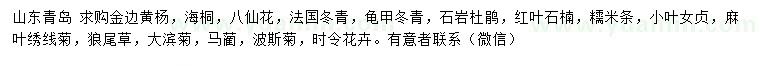 求購金邊黃楊、海桐、八仙花等