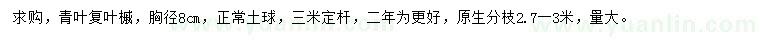 求購胸徑8公分青葉復(fù)葉槭