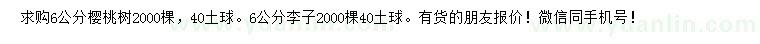 求購6公分櫻桃樹、李子