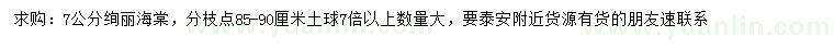 求購7公分絢麗海棠
