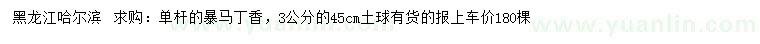 求購(gòu)3公分暴馬丁香