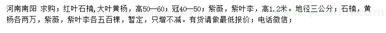 求購(gòu)紅葉石楠、大葉黃楊、紫薇等