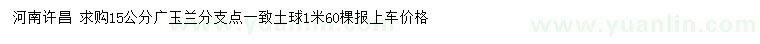 求購(gòu)15公分廣玉蘭