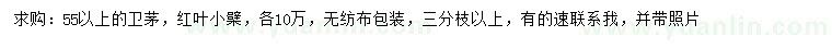 求購55公分以上衛(wèi)茅、紅葉小檗
