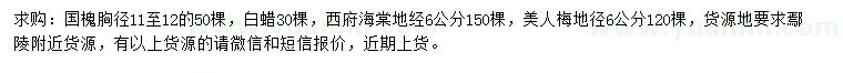 求購國槐、白蠟、西府海棠等