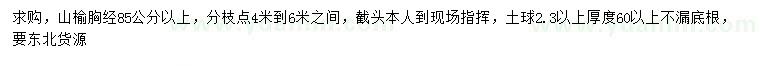 求購胸徑85公分以上山榆