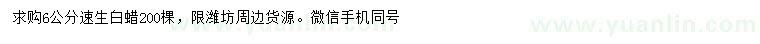 求購(gòu)6公分速生白蠟