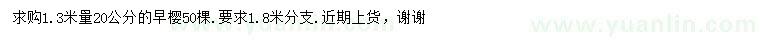 求購1.3米量20公分早櫻