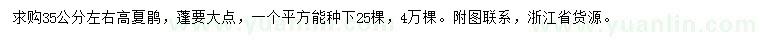 求購高35公分左右夏鵑