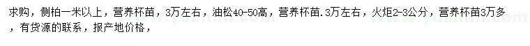 求購側(cè)柏、油松、火炬