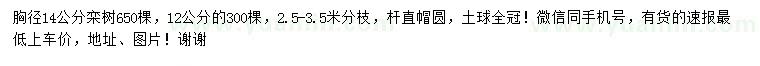 求購(gòu)胸徑12、14公分欒樹