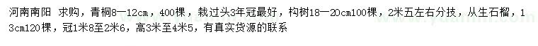 求購(gòu)青桐、構(gòu)樹、叢生石榴