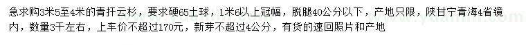 求購3.5-4米青扦云杉