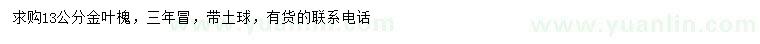 求購(gòu)13公分金葉槐