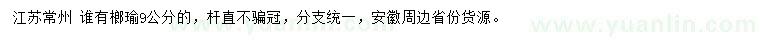 求購9公分榔瑜