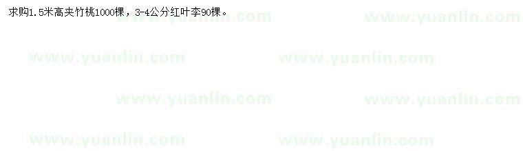 求購高1.5米夾竹桃、3-4公分紅葉李