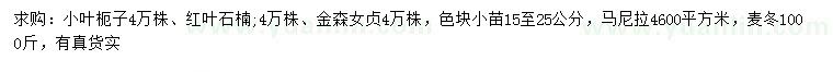 求購小葉枙子、紅葉石楠、金森女貞等