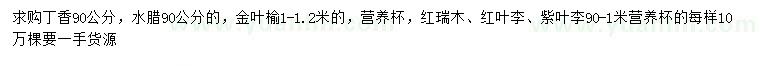 求購(gòu)丁香、水臘、金葉榆等