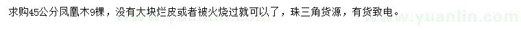 求購45公分鳳凰木