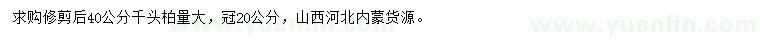求購40公分千頭柏