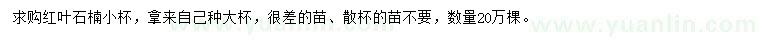 求購紅葉石楠