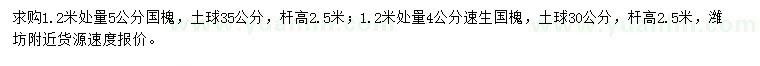 求購(gòu)1.2米處量5公分國(guó)槐、4公分速生國(guó)槐