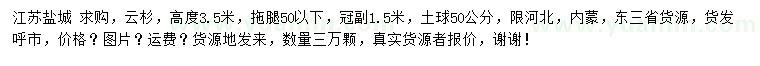 求購高度3.5米云杉