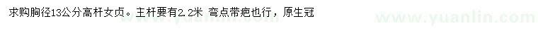 求購胸徑13公分高桿女貞